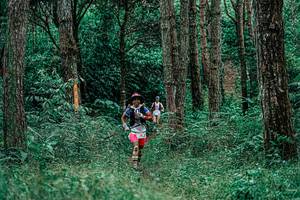 BIB: 
                            <button type="button" onclick="openModal(25236779)" class="btn btn-primary btn-sm float-right btn-popup" data-toggle="modal" data-target=".modal-high-quality">
                        <i class="fas fa-shopping-cart"></i> Add to Cart
                    </button>
                                            <button type="button" onclick="isThisMe(25236779, true)" class="btn btn-success btn-sm float-right btn-popup btn-isme hidden" data-toggle="tooltip" data-placement="bottom" title="นี่คือรูปของคุณใช่ไหม คลิกที่นี่เพื่อเอาเข้าอัลบั้ม">
                        <i class="fas fa-plus"></i> Add to album
                    </button>
                    <button type="button" onclick="isThisMe(25236779, false)" class="btn btn-warning btn-sm float-right btn-popup btn-isnotme hidden">
                        <i class="fas fa-ban"></i> Remove from album
                    </button>